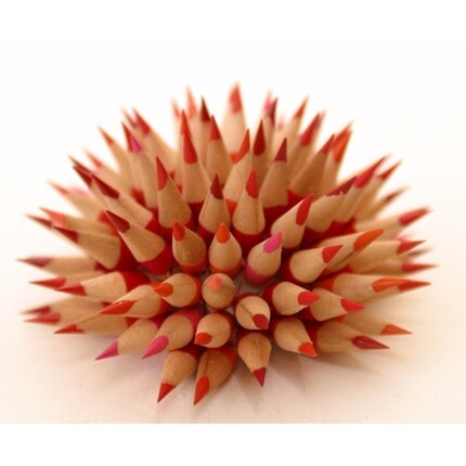 Custom Pencil urchin