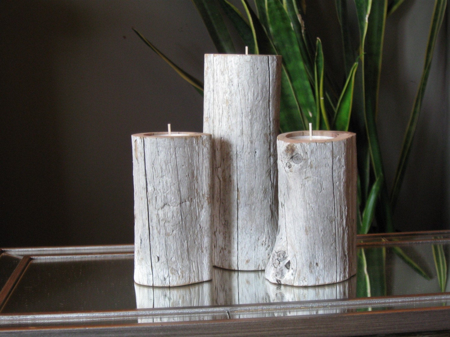 Set of 3 redwood Driftwood Candle Holders for an organic home decor