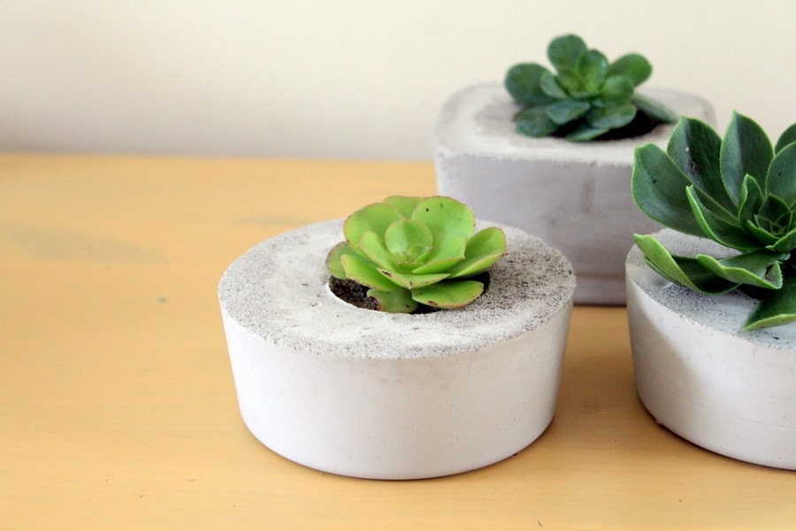 Indoor/Outdoor and Awesome Concrete Planter -Square-