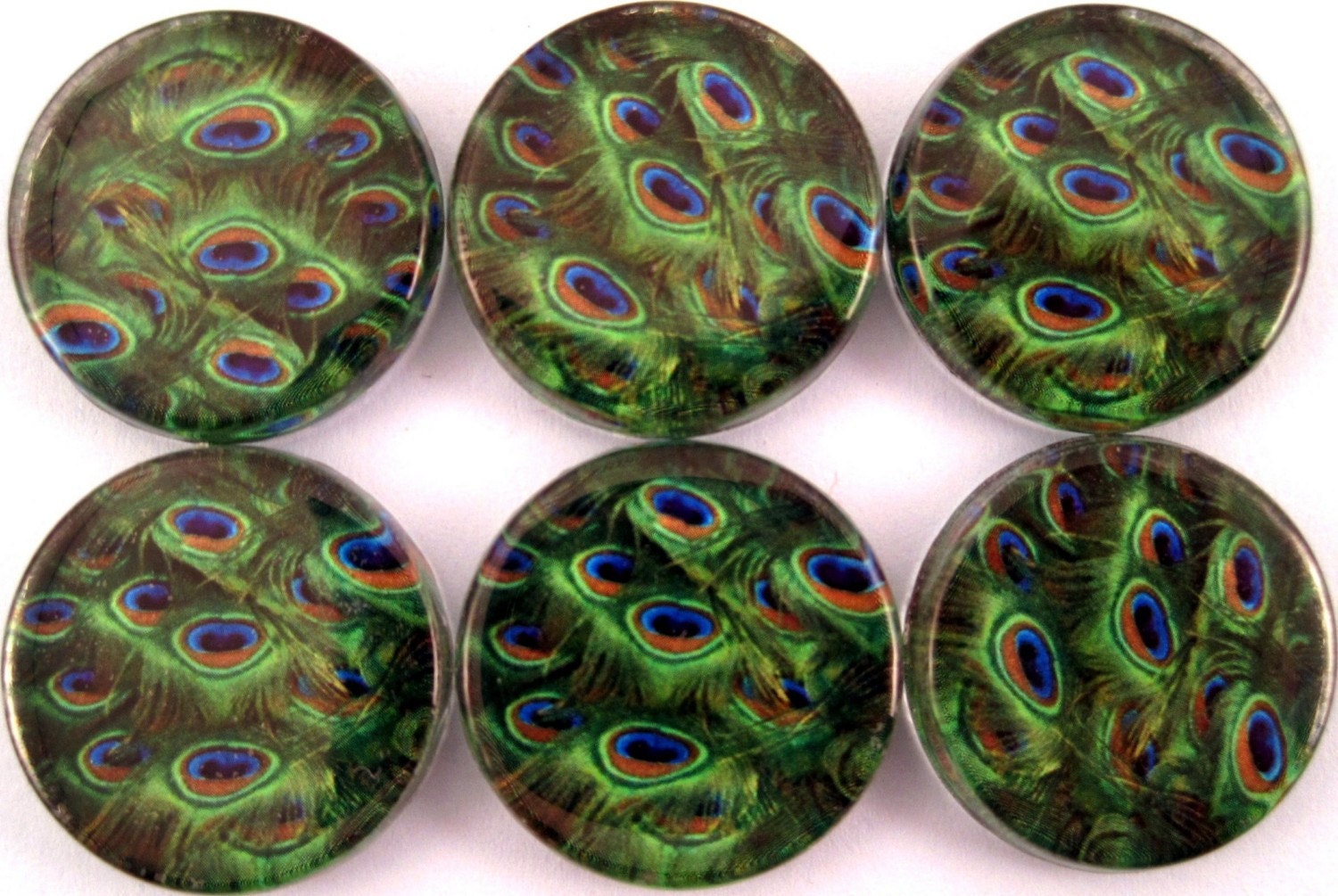Handmade Magnets - Vibrant Green Peacock Feathers - Inch Circle Glass