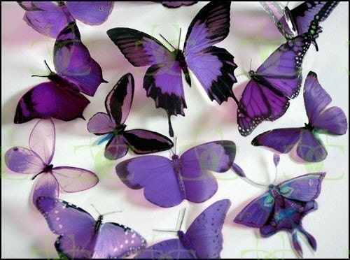 12 x Mixed Purple 3D Transparent Butterflies