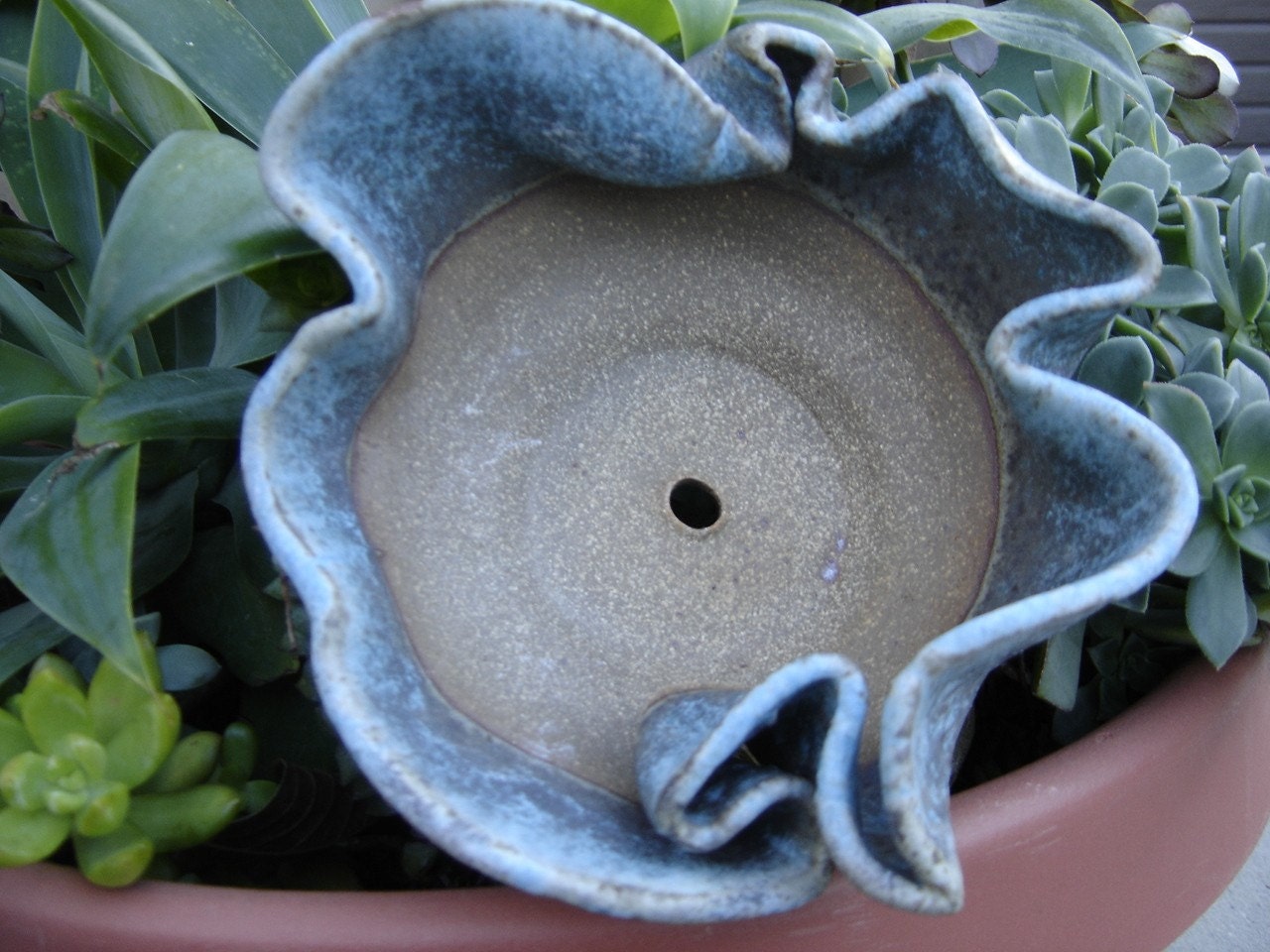 ceramic bowl planter