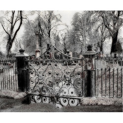 Cemetery Gate Metallic Ice Winter