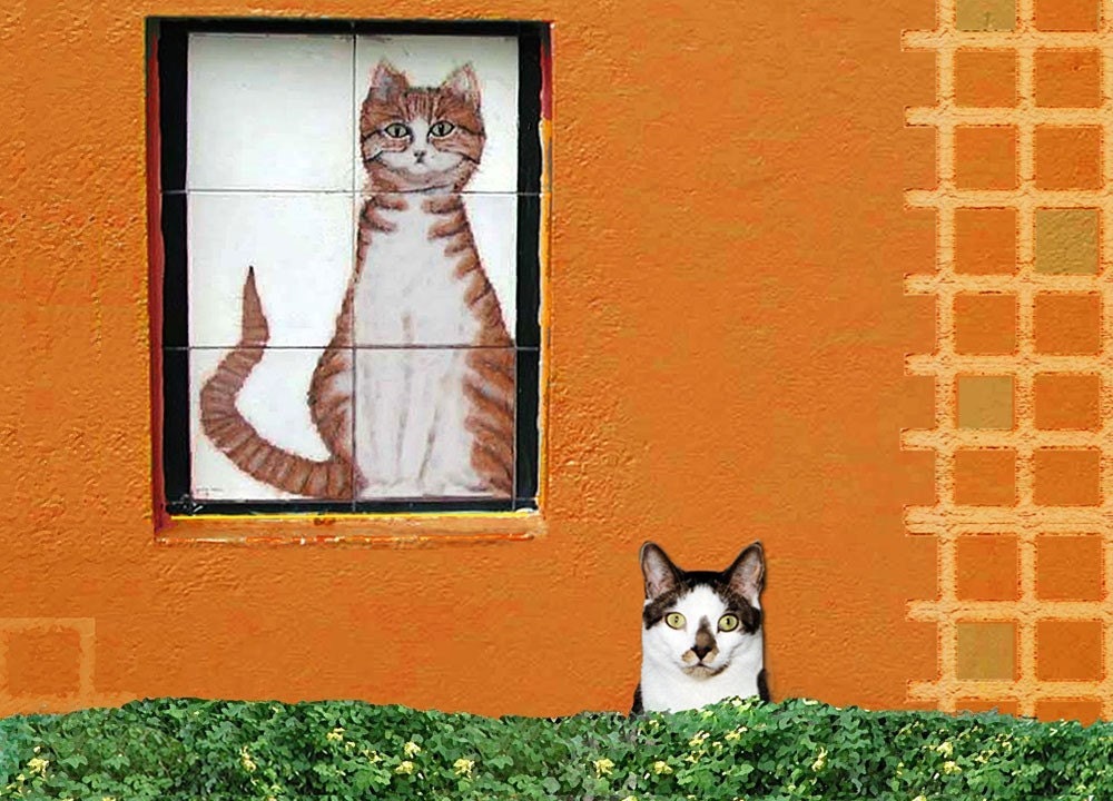 Cat Lover Note Cards- Set of 5 cat note cards- The Perfect Spot