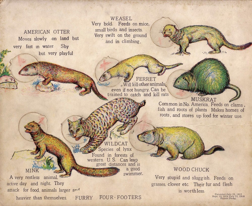 1914 Antique Puzzle of a FERRET and other ANIMALS