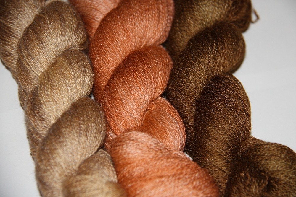 Cinnamon Spice  Color Spell Collection