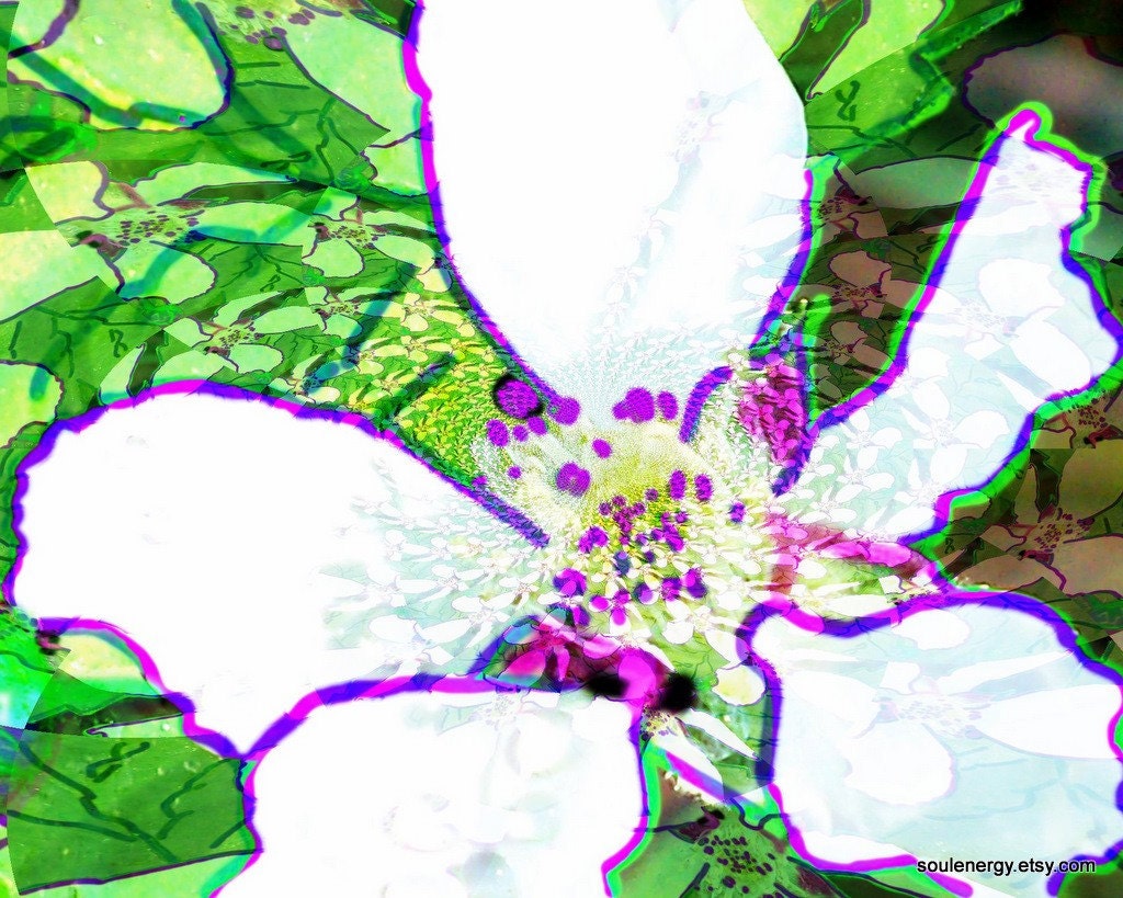White Flower 16x20 Digital Pop Art Photograph