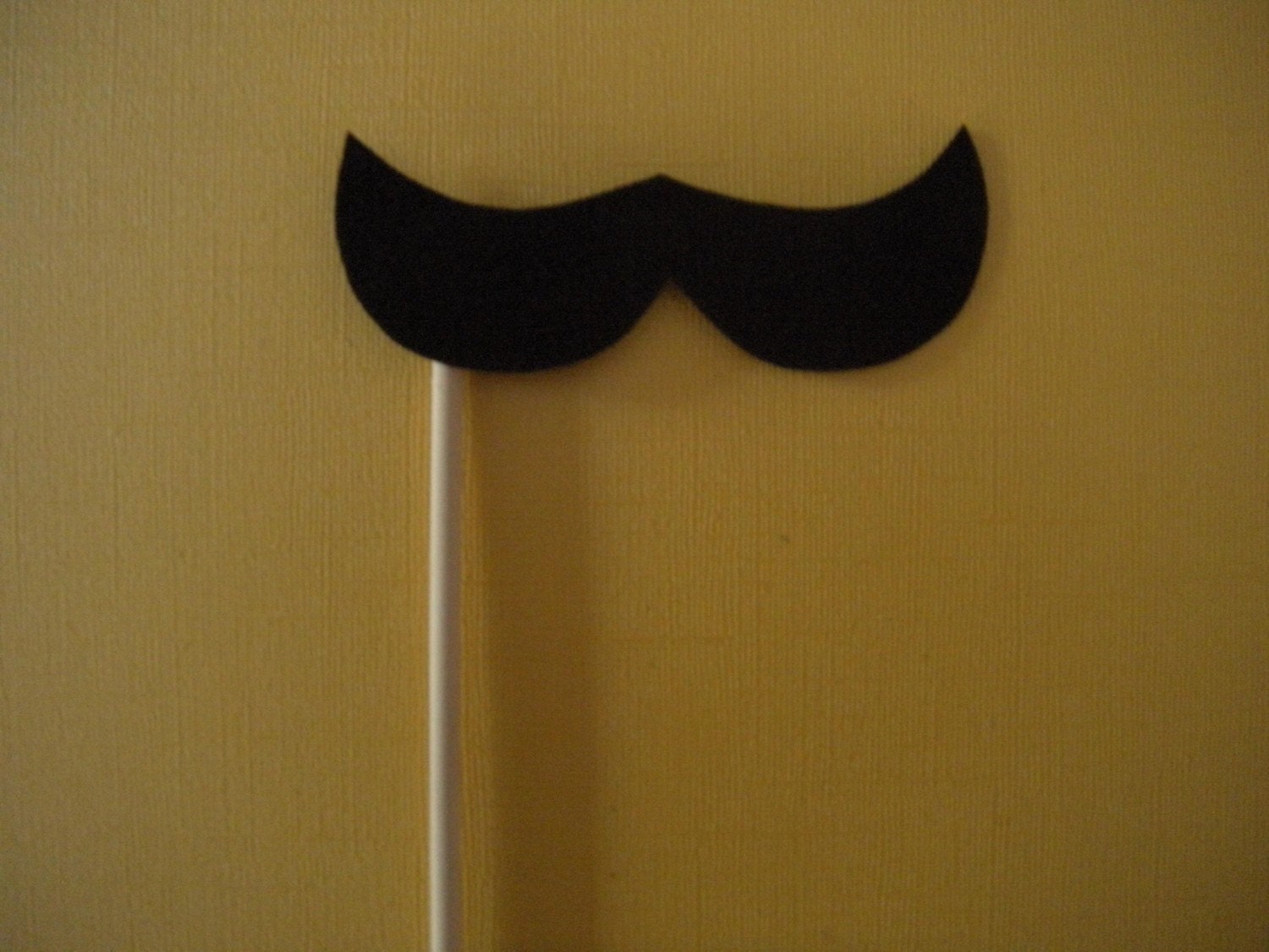 Mustache on a Stick - The Luigi