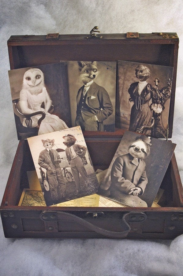 Set of 5 original Postcards - Mini Print Set N3 - owl fox turttle animals portrait