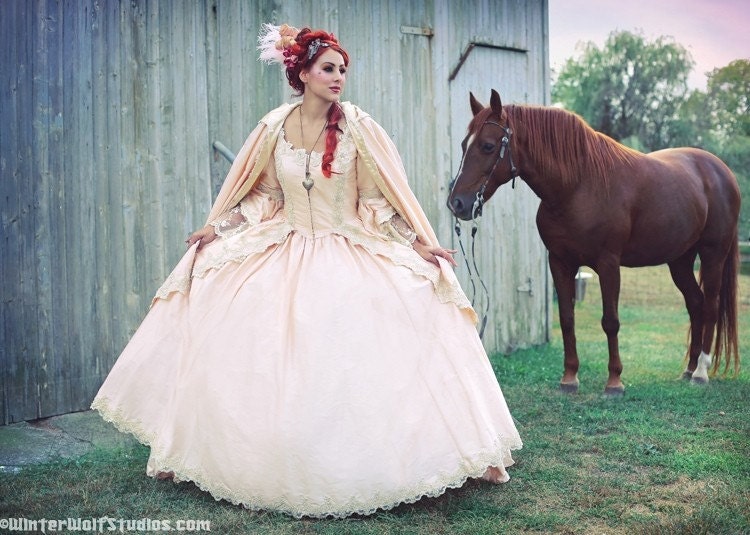 Custom Marie Antoinette Gown and Cape Fantasy Set