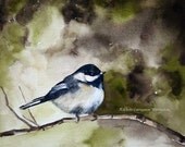Buy One, GET one Bogo SALE Black Capped Chickadee Archival Print of original watercolor painting  8 x 10 us west utah cyber monday spring kelly sage greens branch green rustic vintage feel inspired perching rich tones