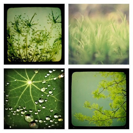 SALE 
Lush - Set of Four 5x5 Prints in Green