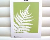 10x8 Giclee Print - Fern (Dryopteris filix-mas) - Botanical Paper Cut Green