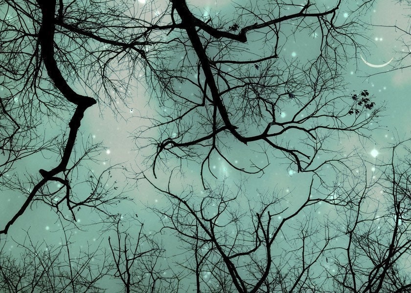 post cards - Smile - solstice new years. bohemian whimsical and bare tree branch silhouettes against a cyan and teal sky filled with stars and a happy smiling moon - hostess gift.   under 15