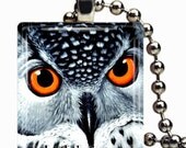 Owl Necklace on Glass tile - Includes chain and 4x6 print of this design Buy 3 and Get 1