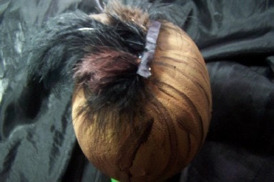 big plume brown and black  feathered hair clip