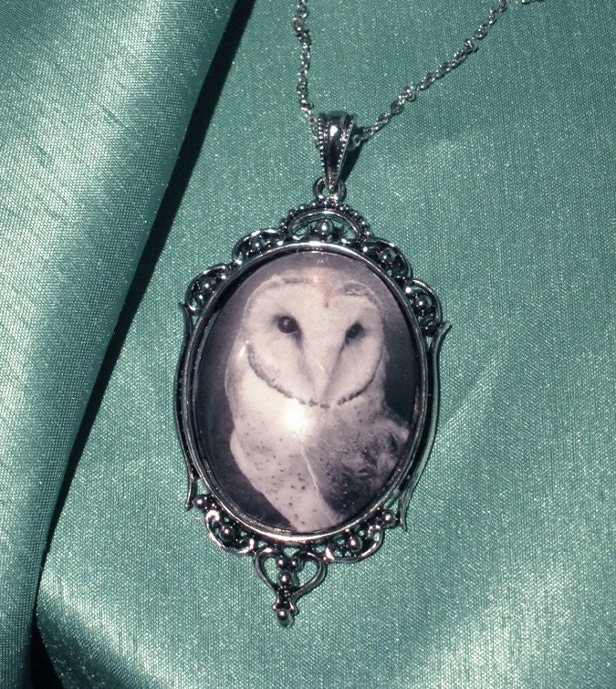 Wisdom - Vintage style antique silver toned art photo pendant of a barn owl on 18 in chain comes gift boxed for her