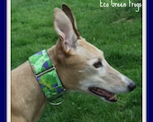 Eco Green Frogs Martingale Dog Collar 2 inch (M)