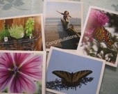 Photo Note Cards  Pack of Five Assorted Blank Cards - 4 x 5.5 inches