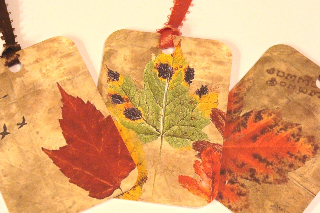 CO-485-Autumn Splendor Set of 6 Fall Leaf Tags --2 of Each Design
