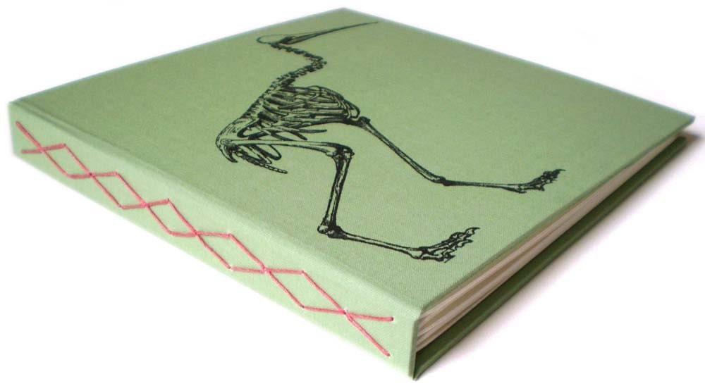 stork skeleton book