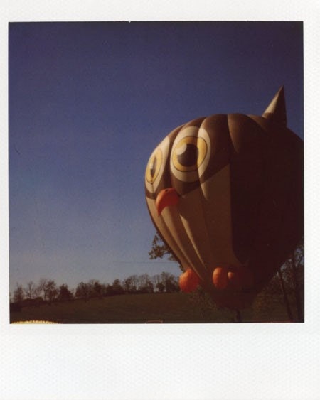 Owl of Air II Original Polaroid