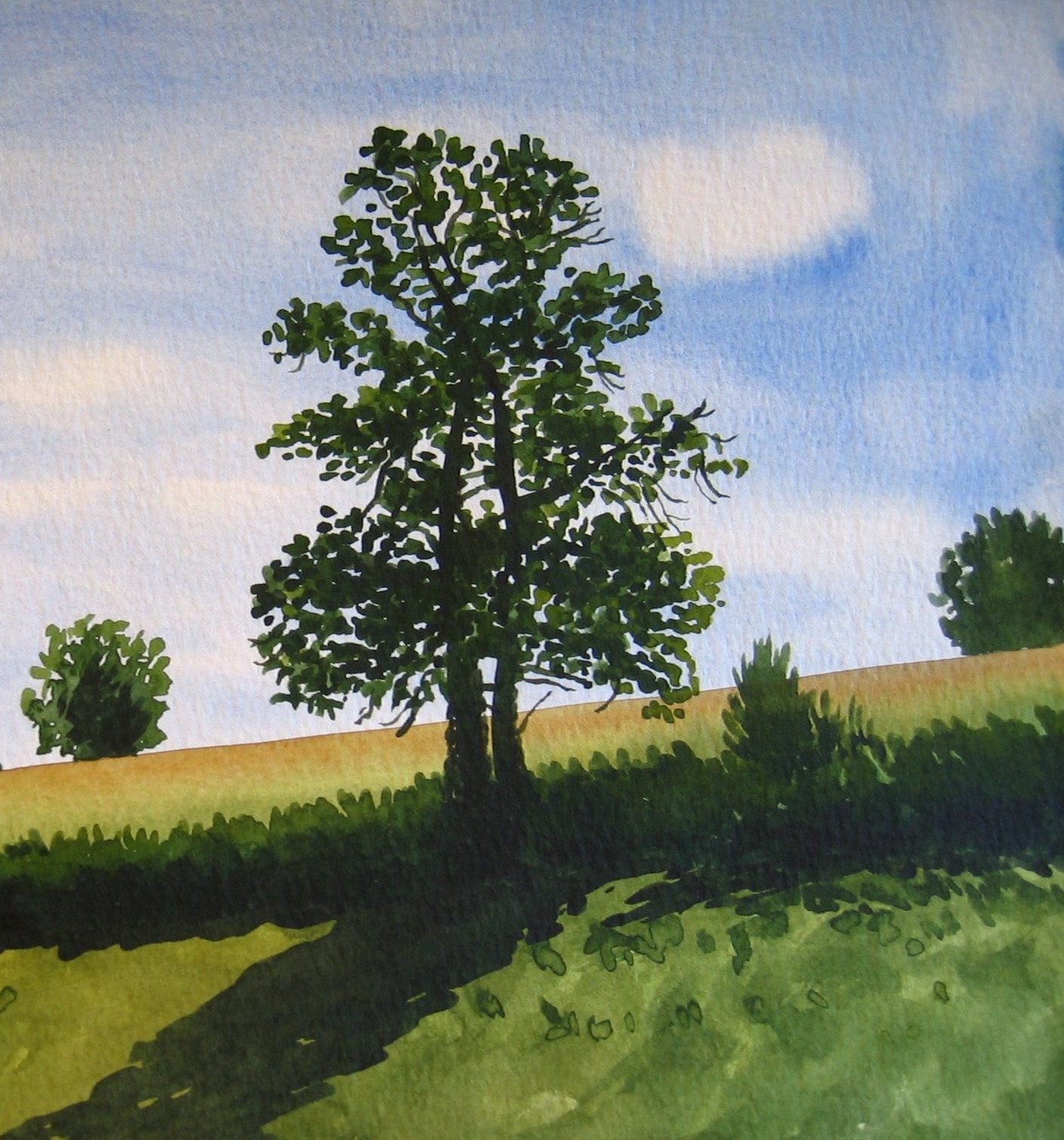 Tree in Summer - Original Watercolour