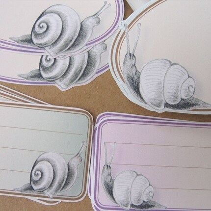 Snails Blank Sticky Labels, Set of 12