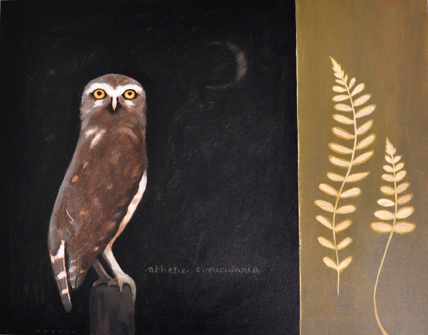Burrowing Owl and Ferns Original Painting