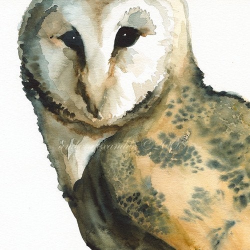 Owl Art - Mice On My Mind