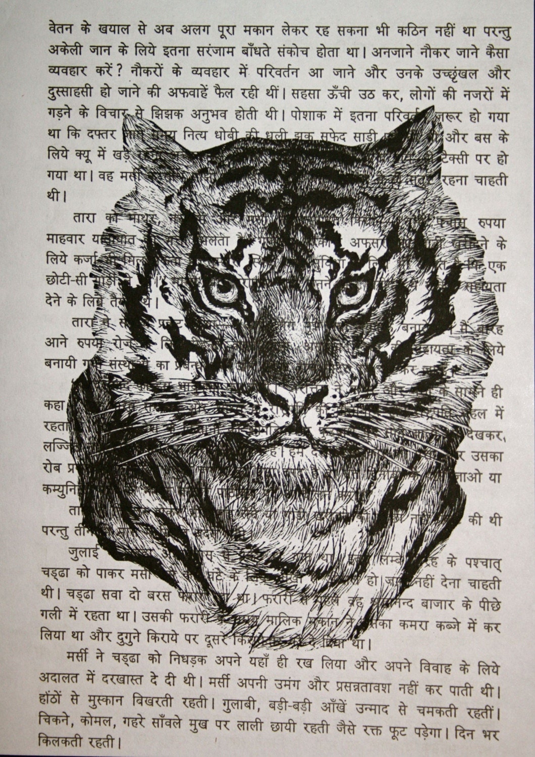 Tiger Face on Sanskrit Text - 5 x 7