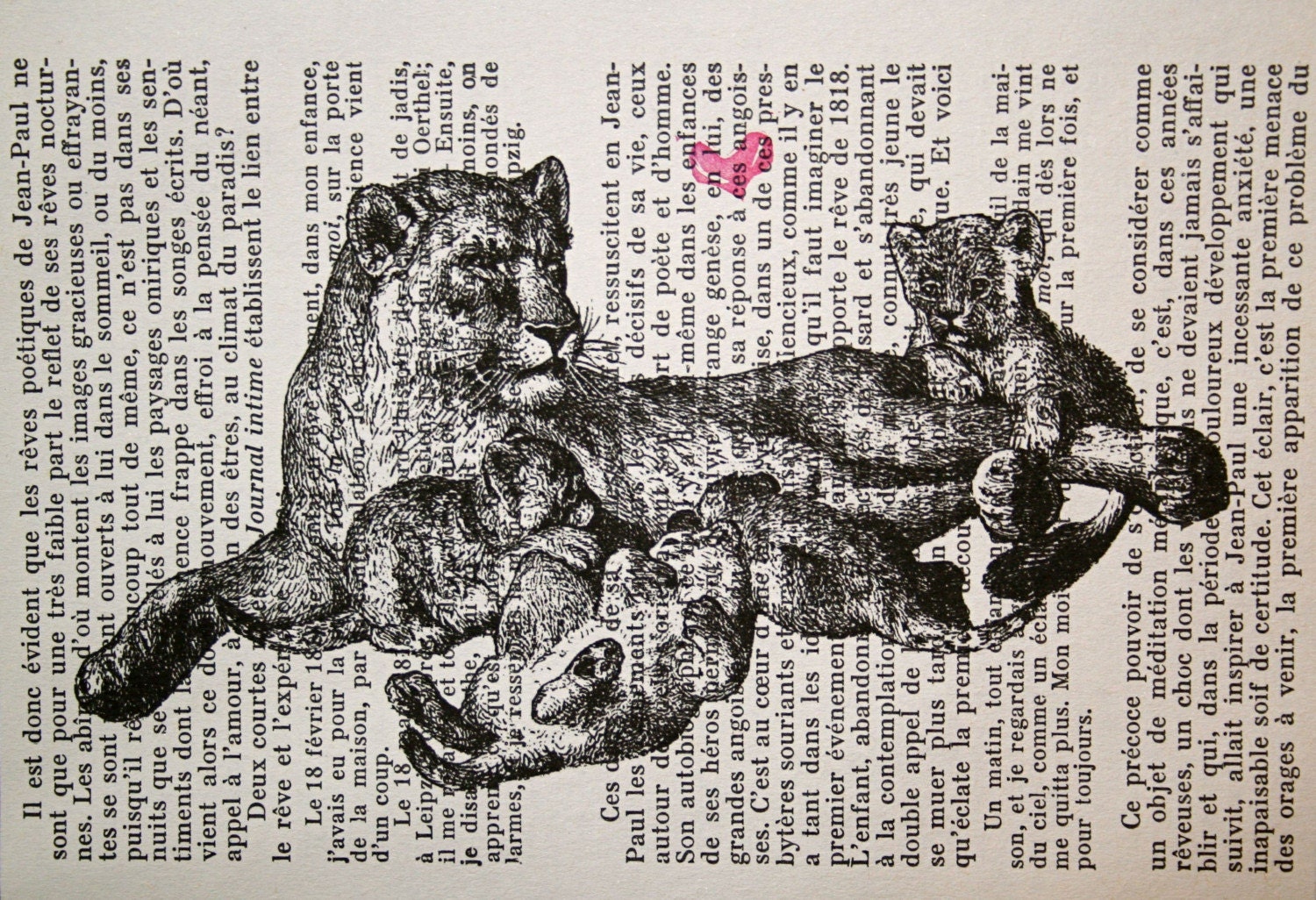 Lion Mother and Cubs on French Text - 5 x 7