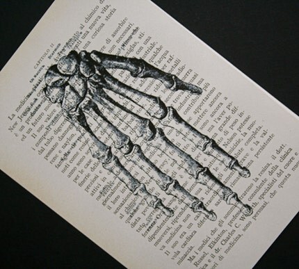 Hand Skeleton on Italian Text - 5 x 7