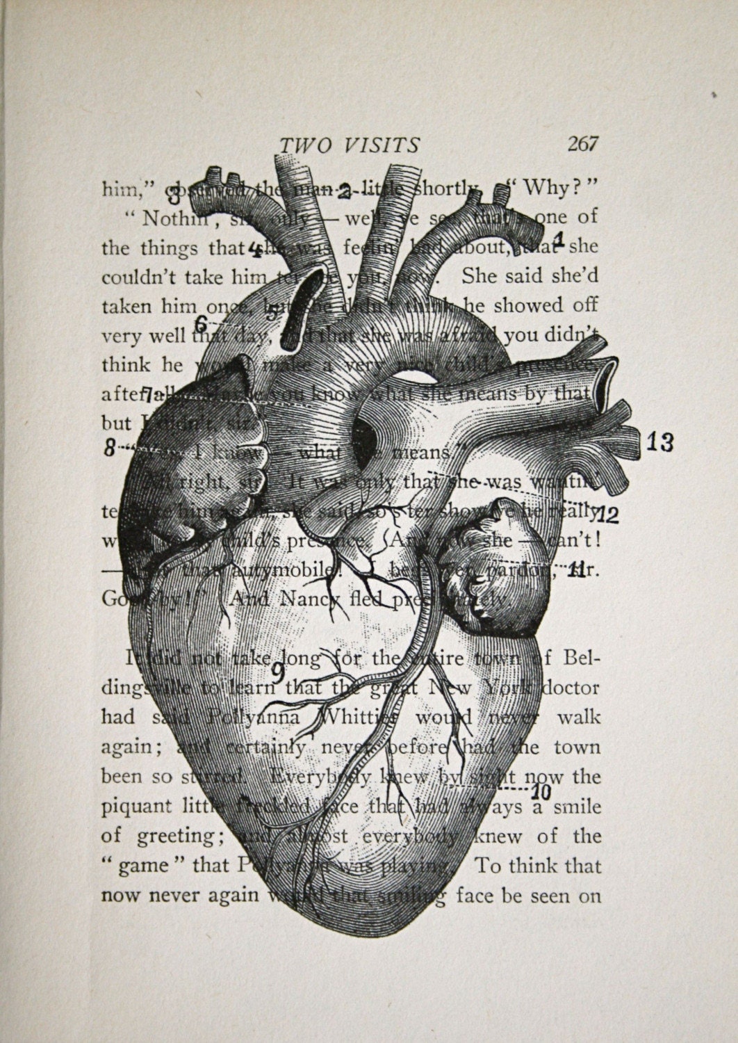 Anatomical Heart on Vintage Text - 5 x 7