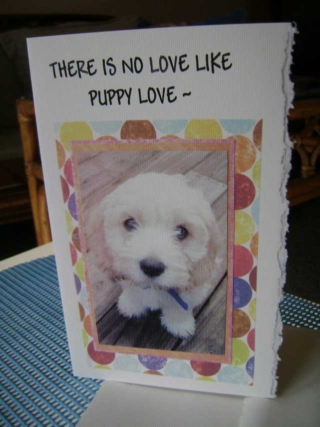 THERE IS NO LOVE LIKE PUPPY LOVE ALL OCCASION GREETING CARD-FEATURING COCKAPOO PUPPIES