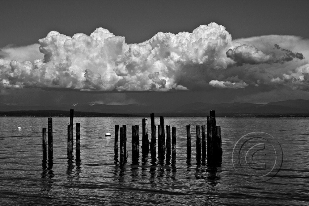 Scattered 
Showers - 8 x 12 Photograph Black and White