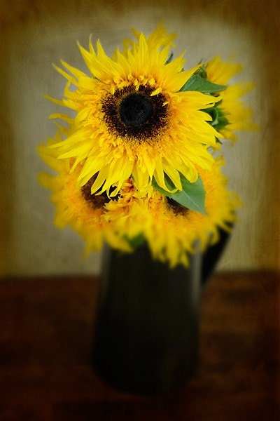 Vase of Sun - Signed, Matted and Mounted 5x7 Fine Art Photograph
