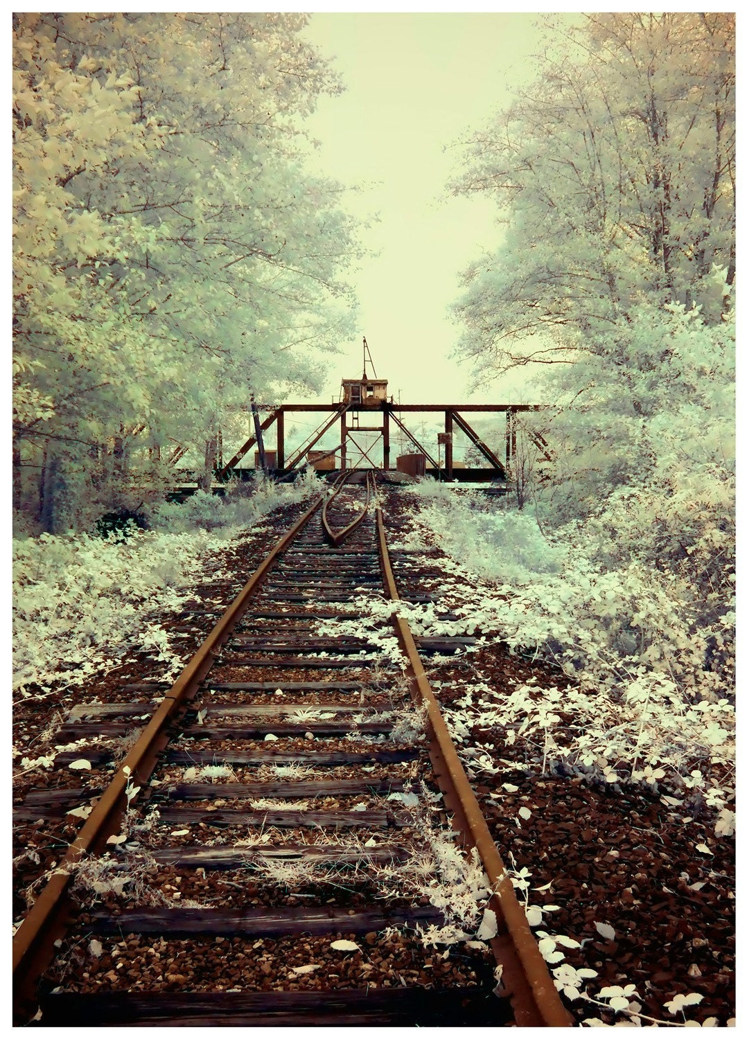 Old Train Bridge - infrared photographic print by Kevan Moran Aponte
