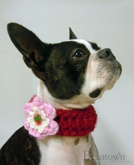 Noel Floral Dog Collar with Dried Flower Button