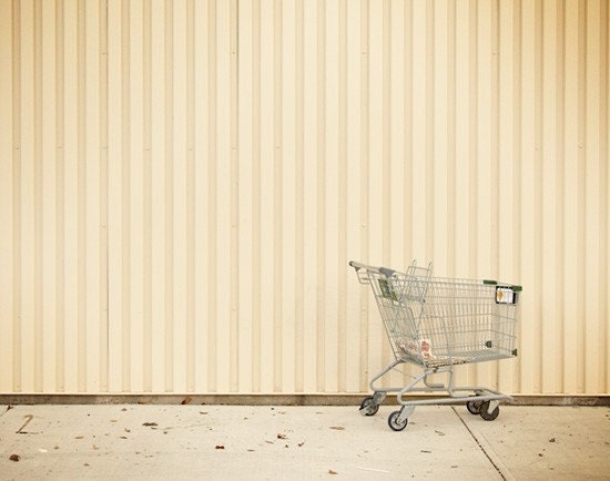 Shopping Cart - 3.75x3 Photographic Print Matted to 10x8