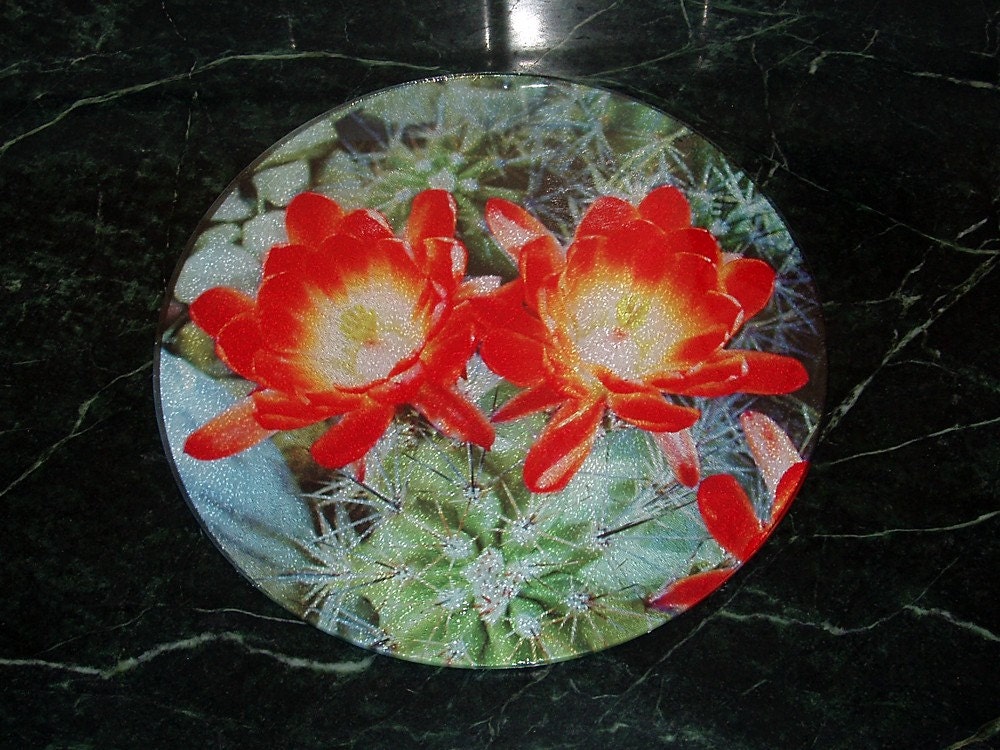 Claret Cup Cactus Flowers - Round Tempered Glass Cutting Board