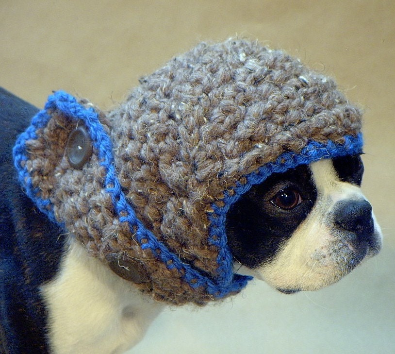The Blue Baron Dog Hat