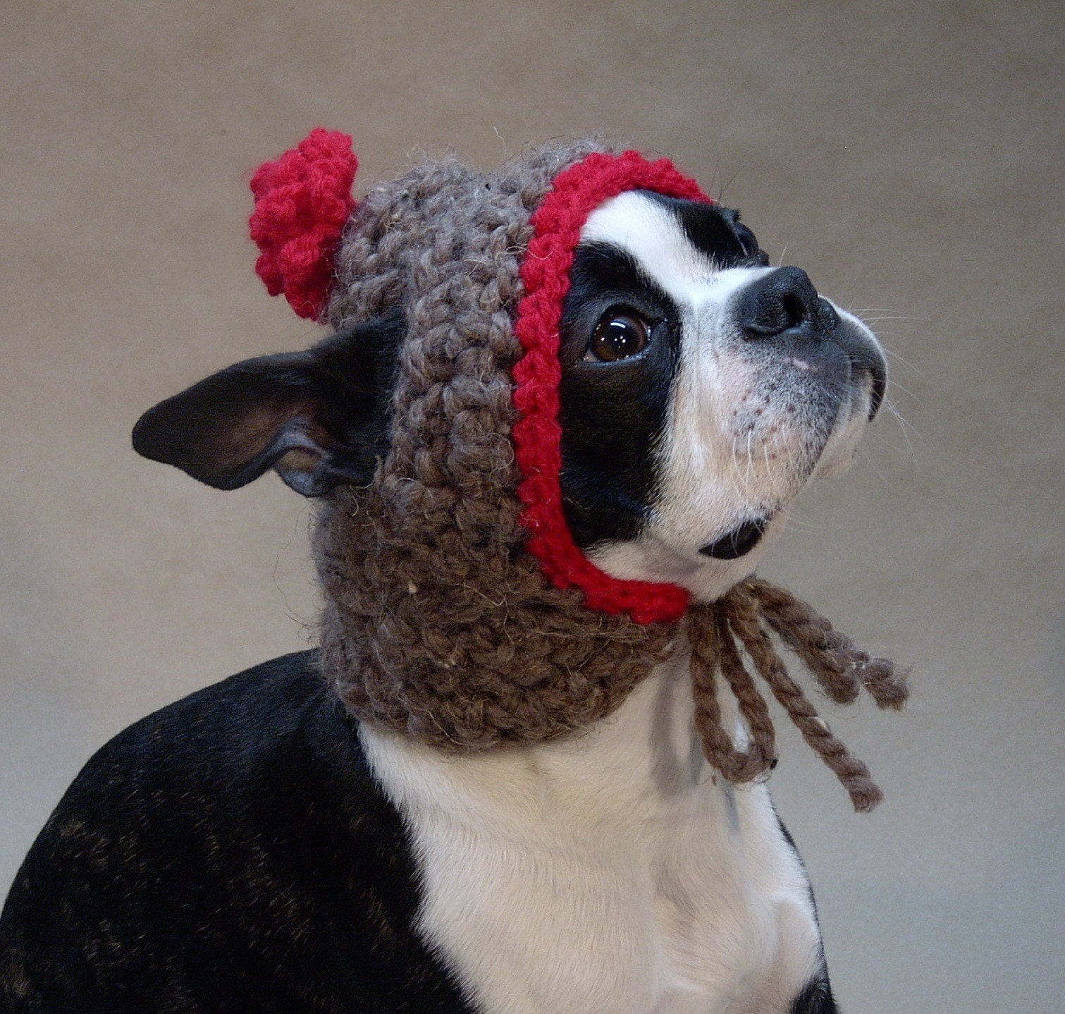 Gretel's Warm and Thick Dog Hat - Size Medium