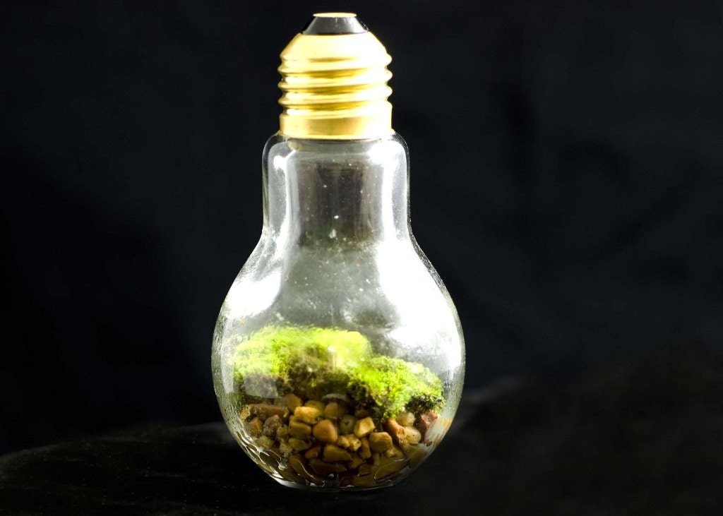 THINK GREEN Lightbulb Moss Terrarium