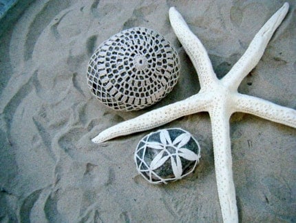 two stones and a starfish