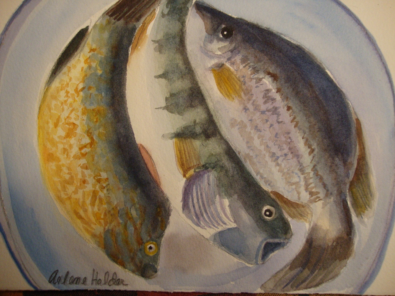 TODAY'S CATCH original Fish Watercolor  by ArleneFaye