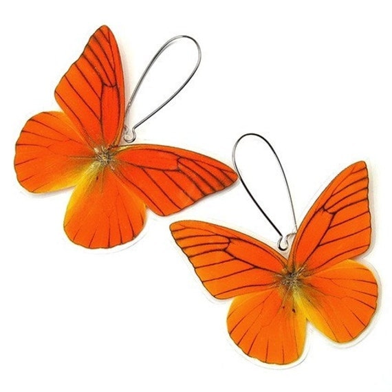 BUY 2 GET 1 FREE - Real Butterfly Wing Earrings (Whole Orange Appias Nero Butterfly  - WE002)