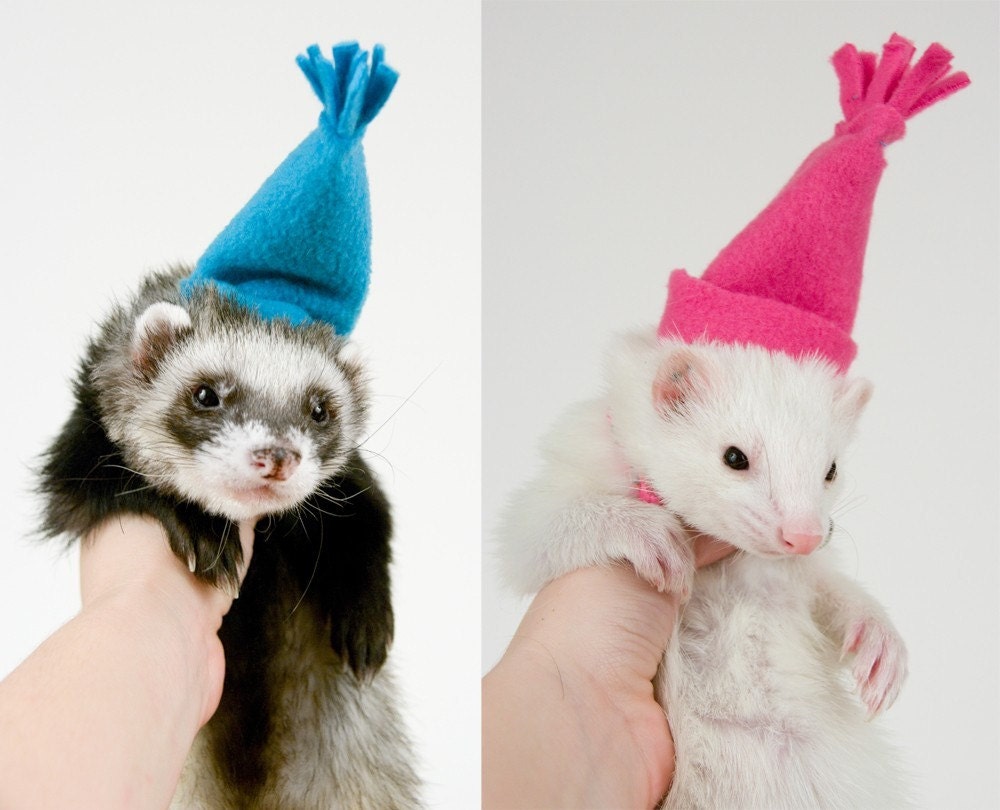 Also, here are some ferrets with hats, courtesy of Etsy.