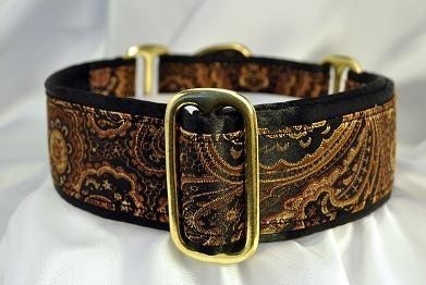 Gold and Black Martingale Collar (1.5 Inch)