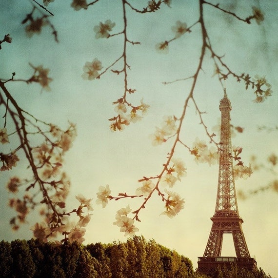 Le printemps - Fine art Paris photograph